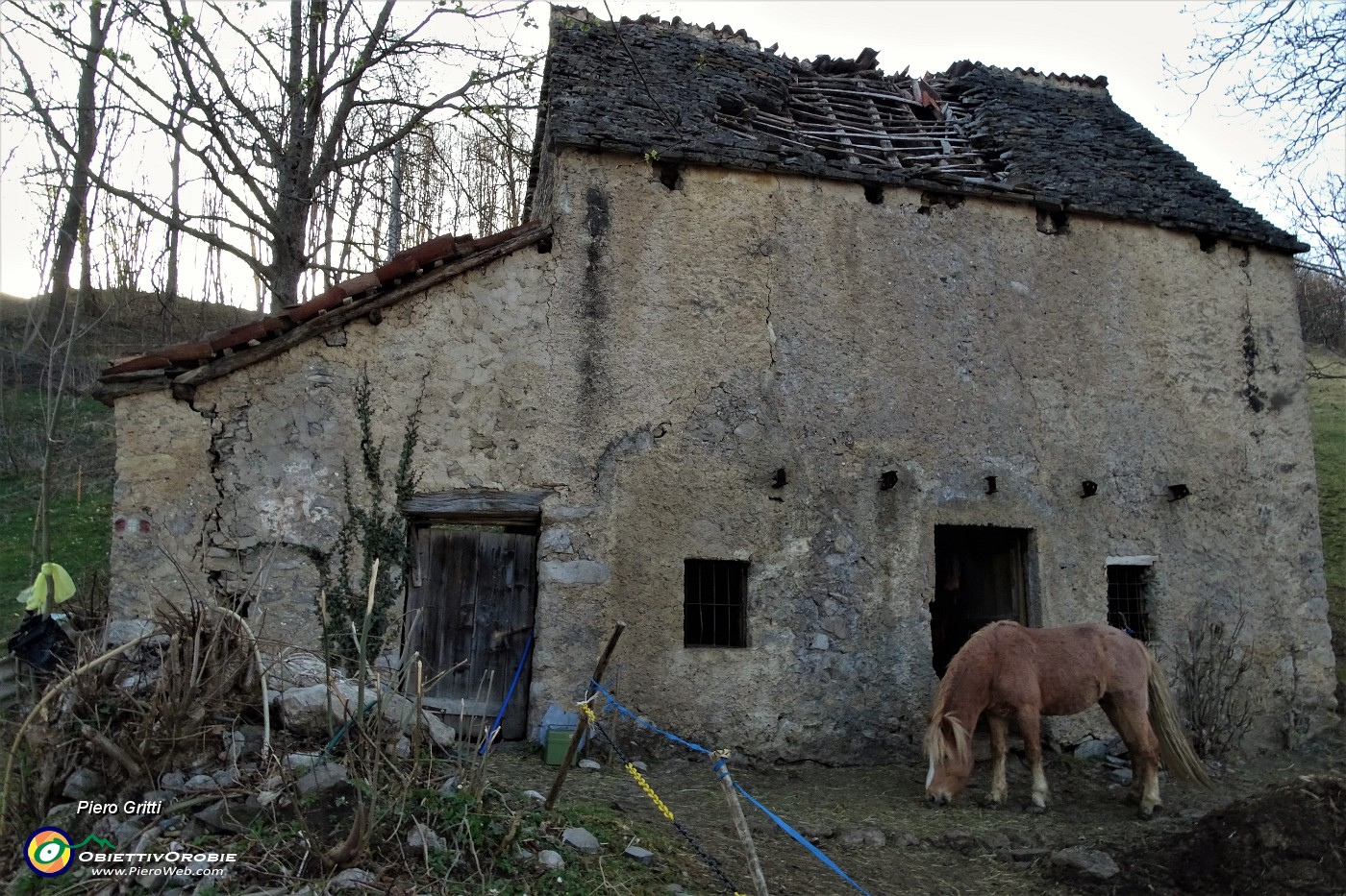 87 Cavallo ad una antica baita con teeto malconcio.JPG